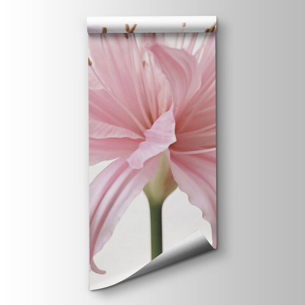 Delicate petals unfold gracefully Delicate petals unfold gracefully