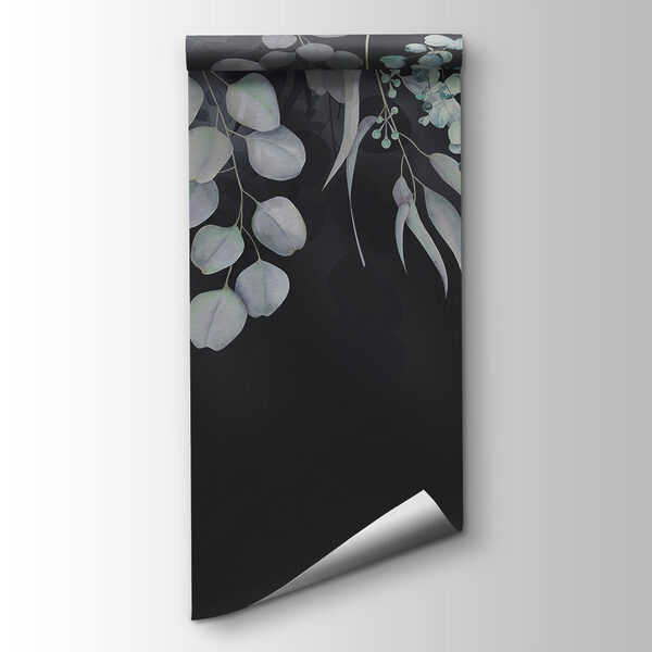 Graceful leaves against dark backdrop Graceful leaves against dark backdrop