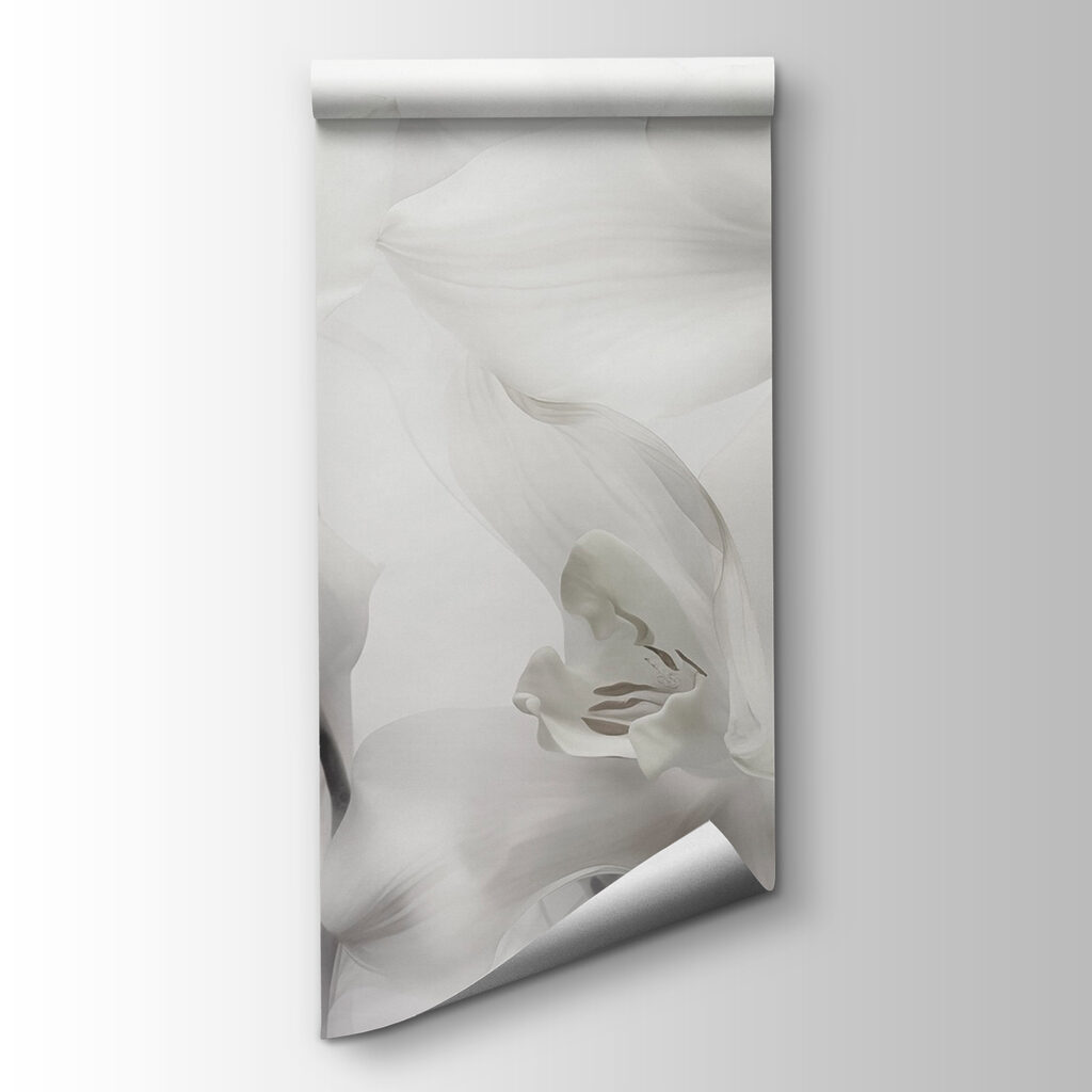 Delicate white orchids in soft light