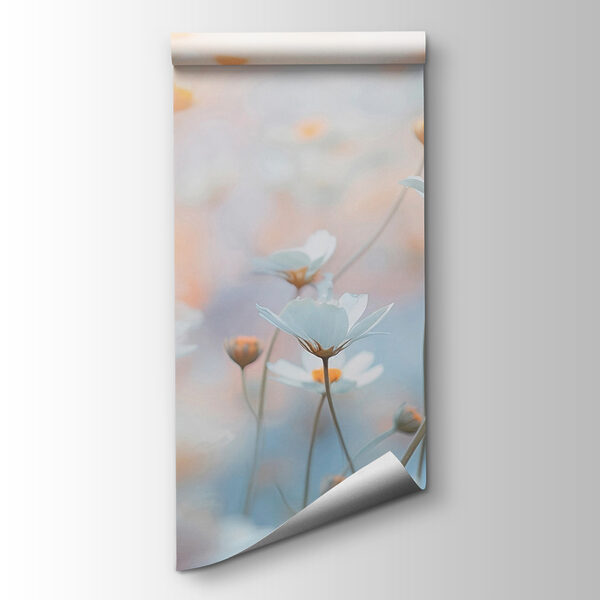 Soft petals in a dreamy garden