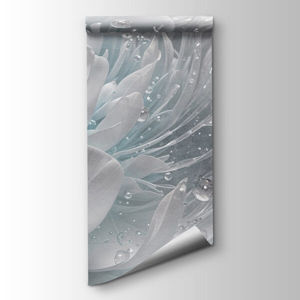 Delicate petals with morning dew Delicate petals with morning dew