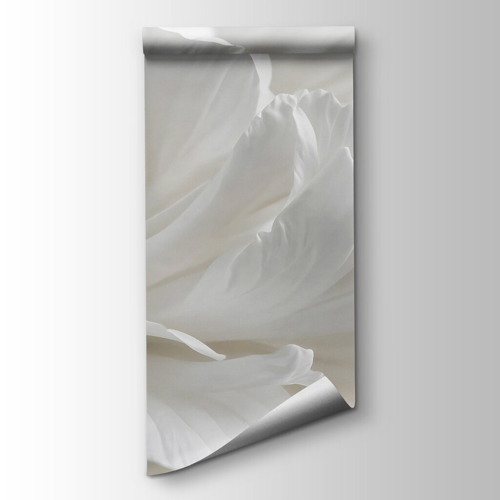 Delicate petals in soft embrace Delicate petals in soft embrace