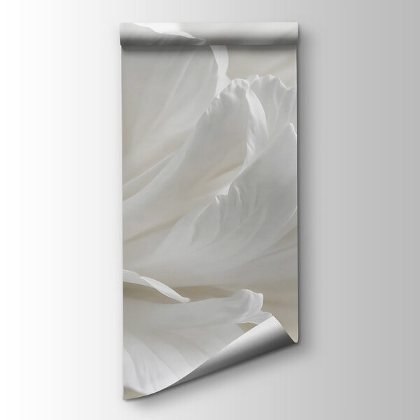 Delicate petals in soft embrace Delicate petals in soft embrace