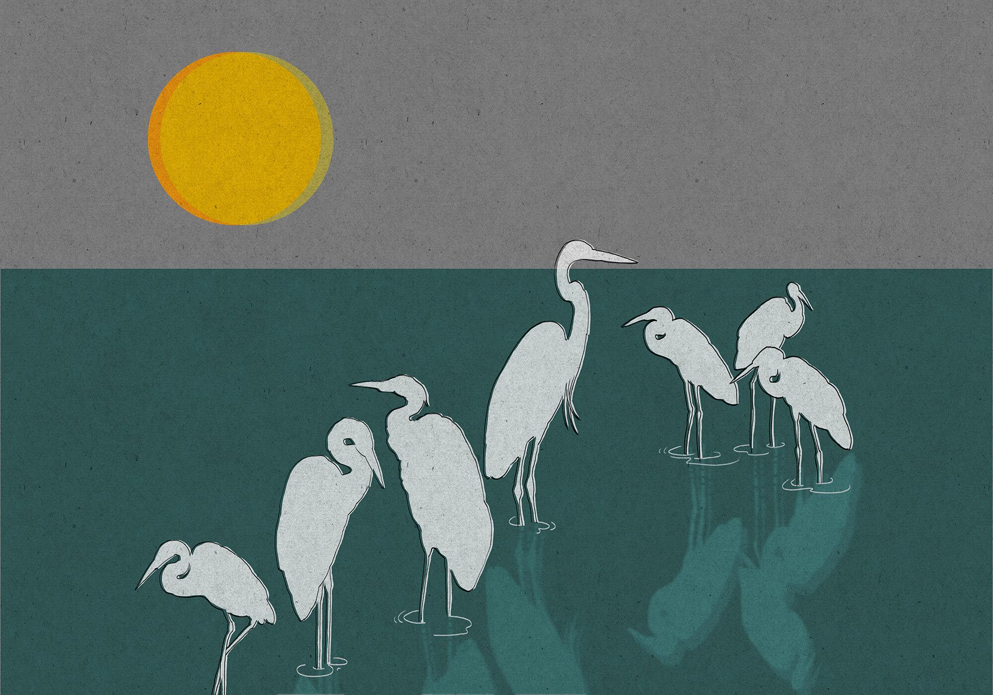 Group of birds standing in water