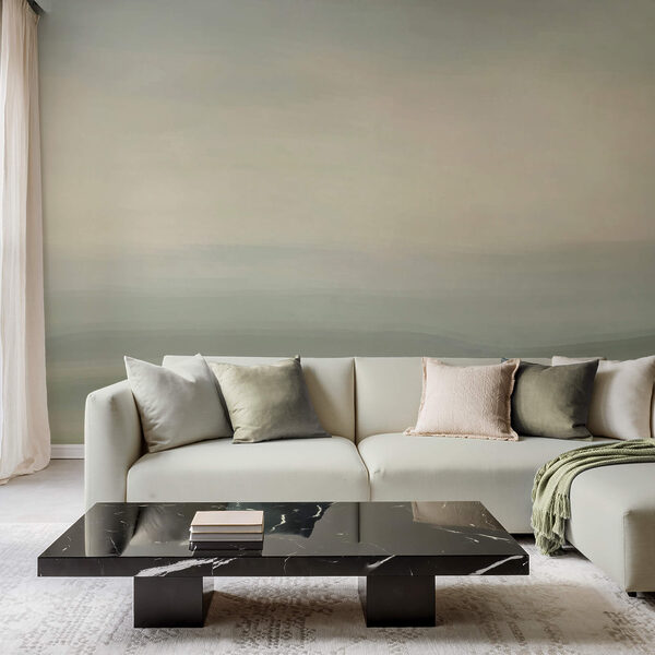 Сіре і біле небо