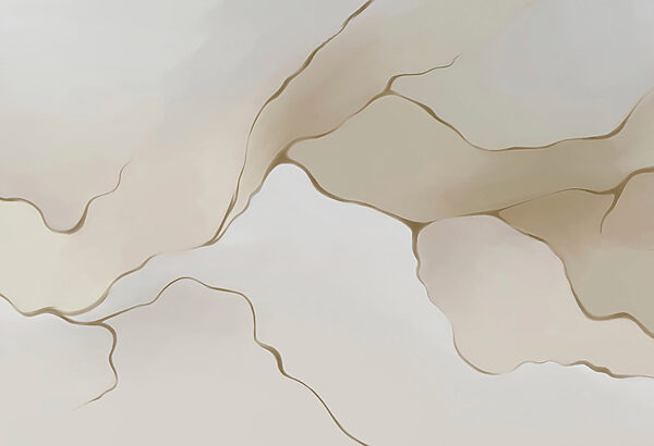 White and brown background White and brown background