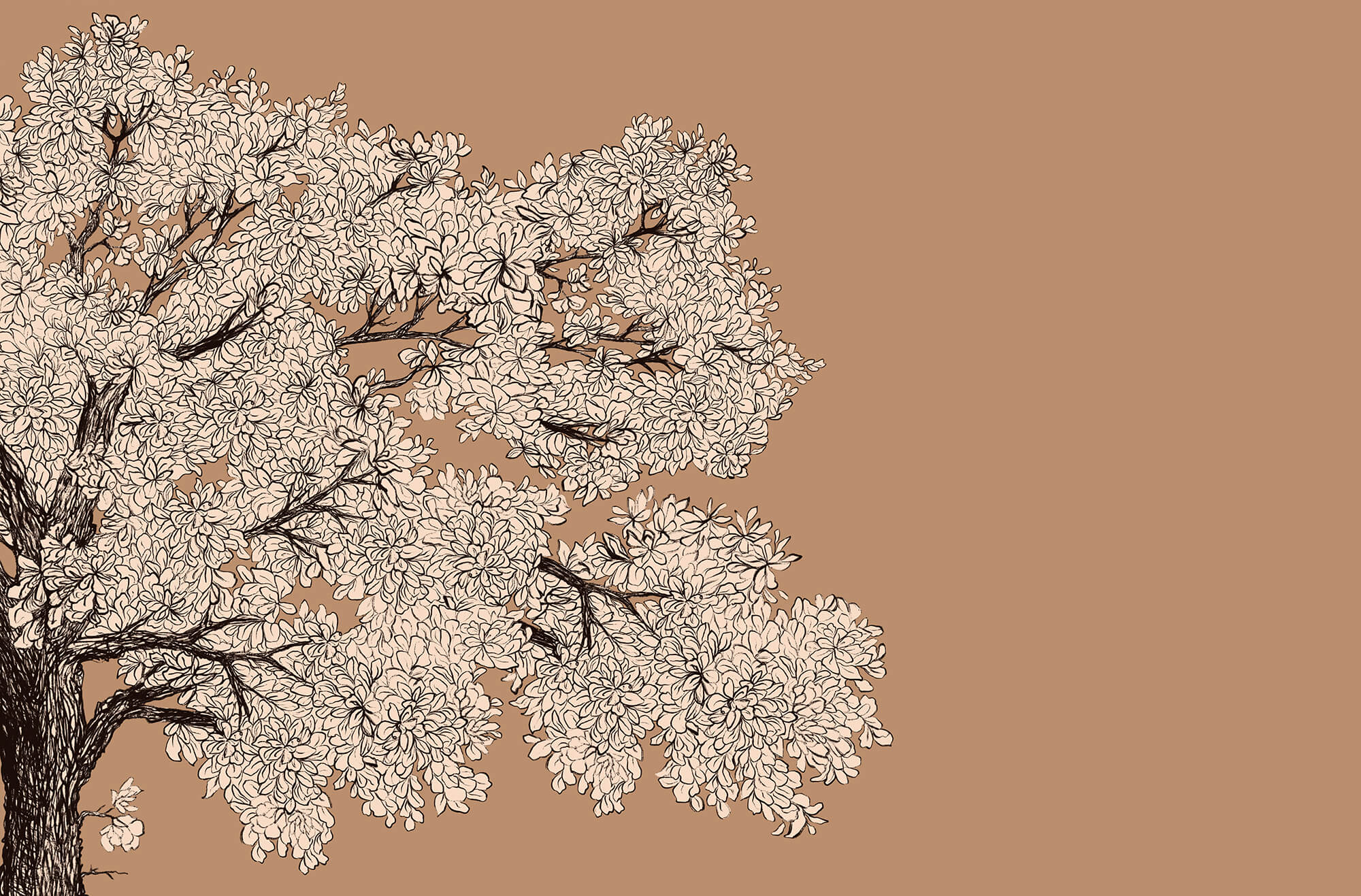 Tree with white flowers Tree with white flowers