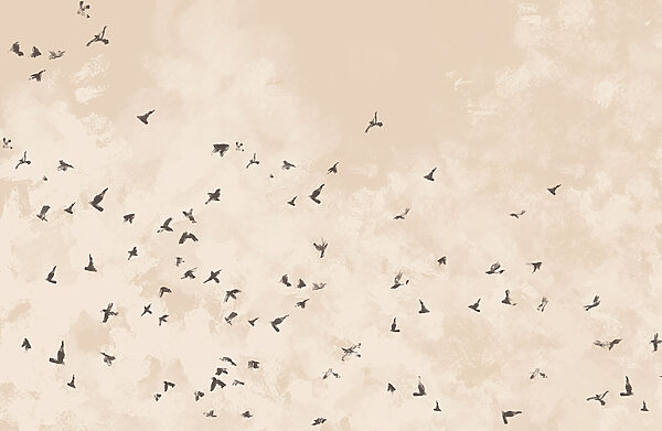 Flock of birds in the sky Flock of birds in the sky