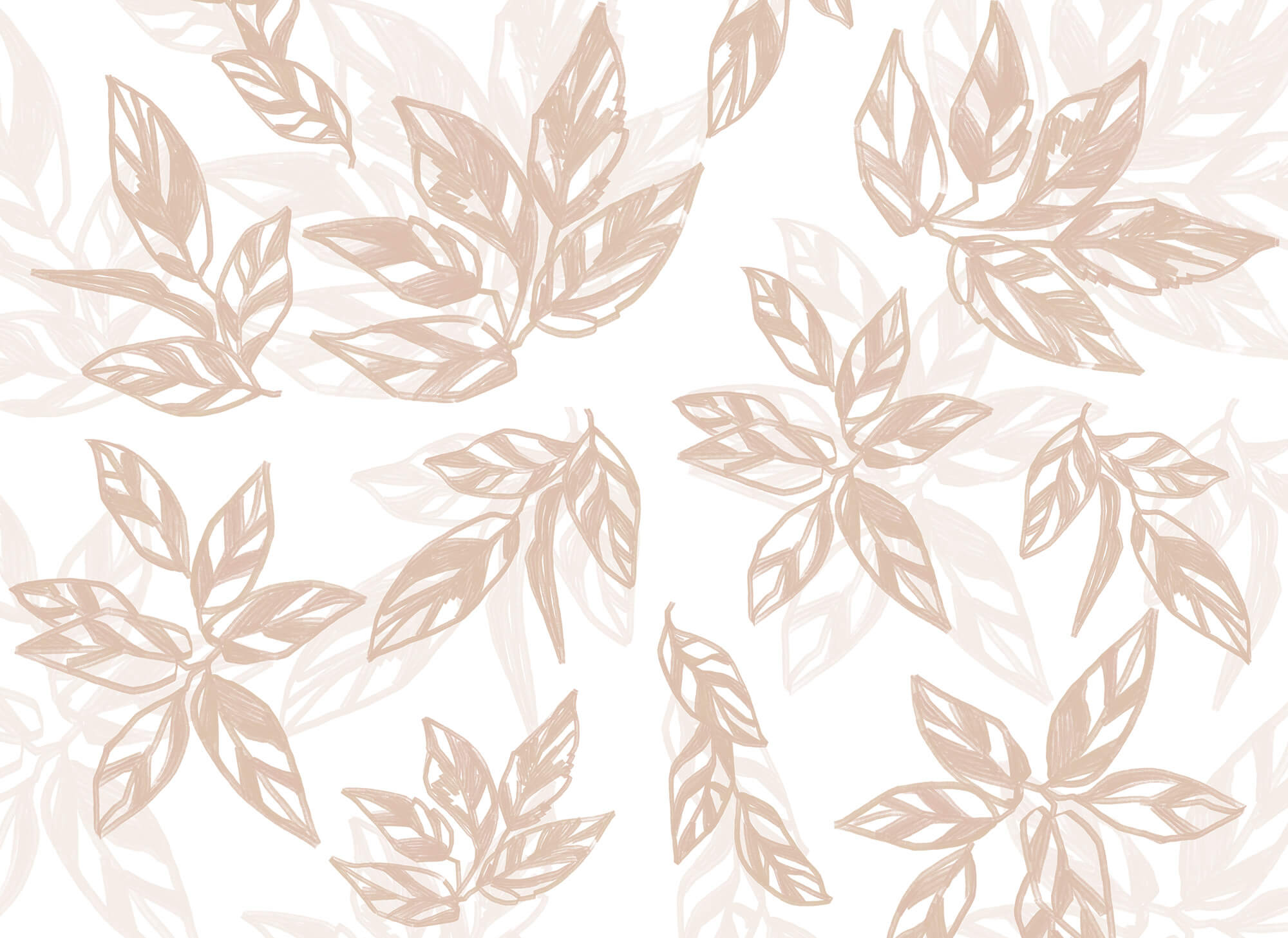 Pattern of leaves on a white background