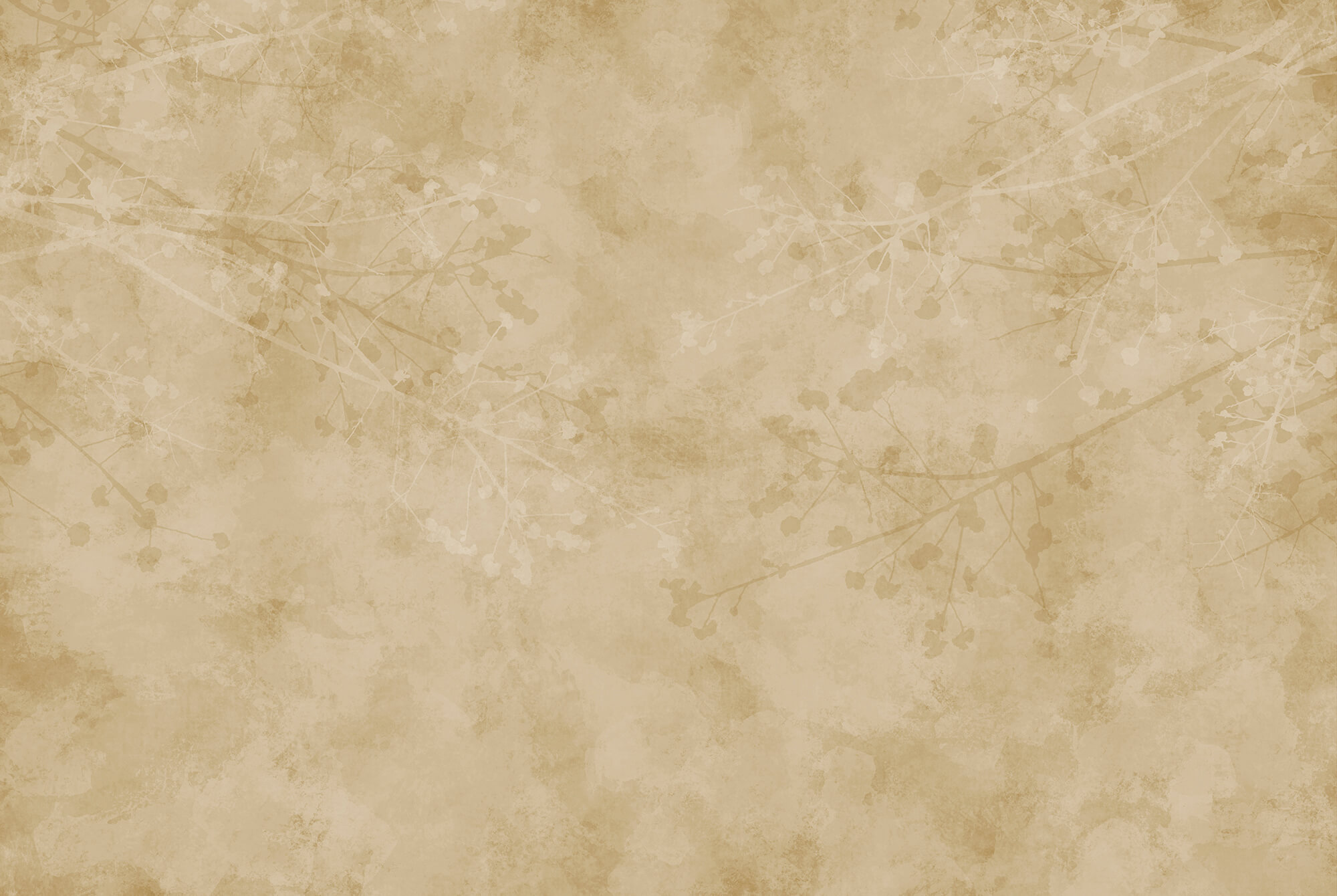 Beige background with branches and leaves