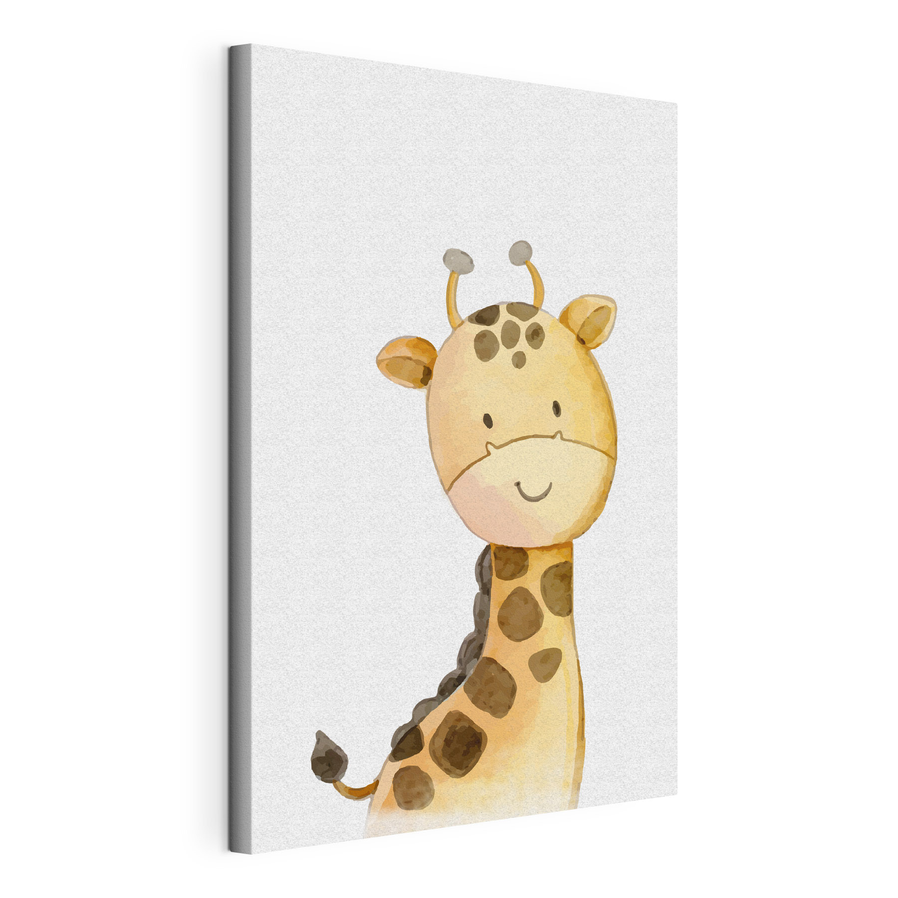 A giraffe with a white background