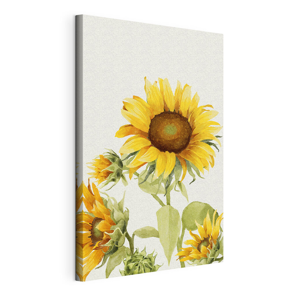 A close up of a sunflower
