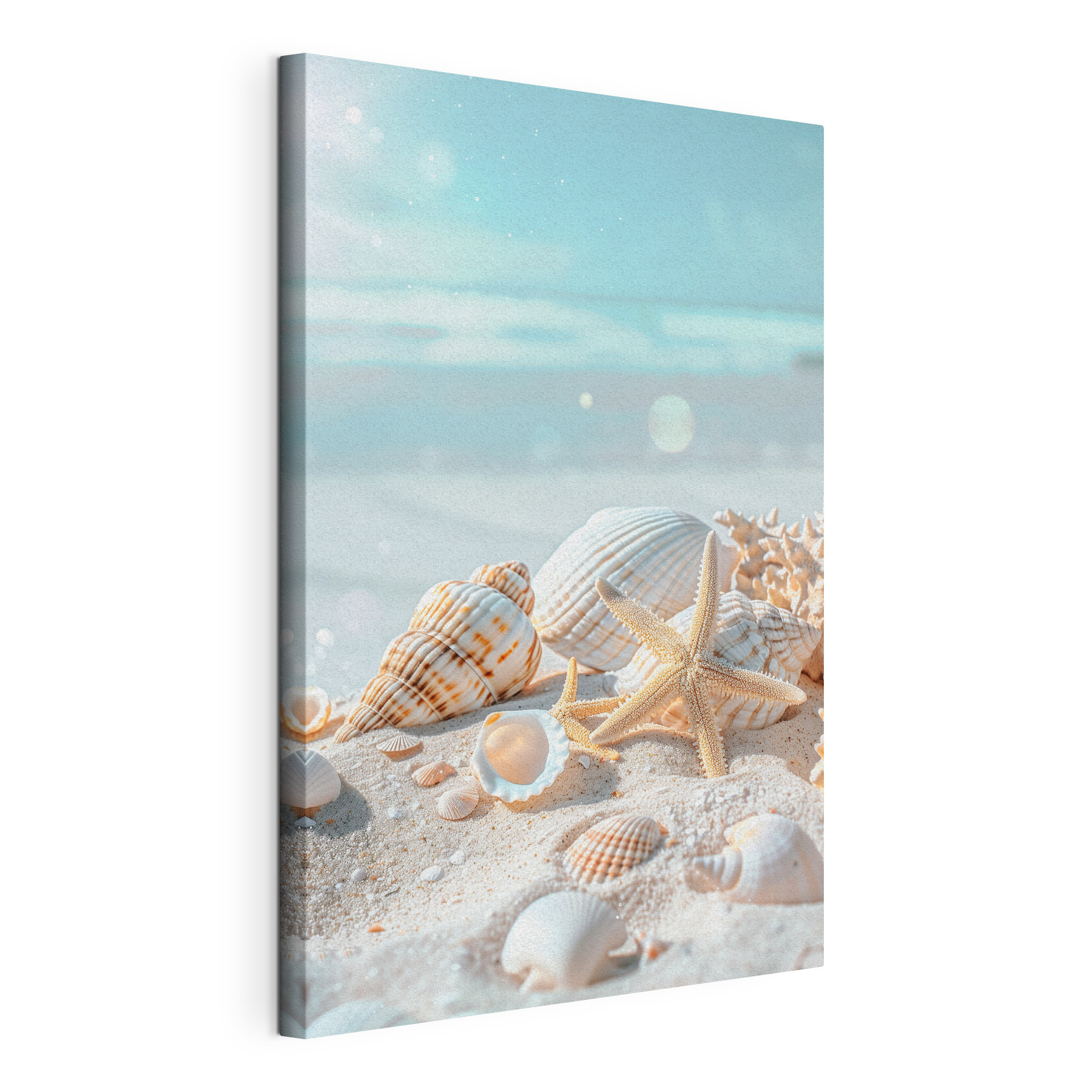 A group of shells and starfish on sand A group of shells and starfish on sand