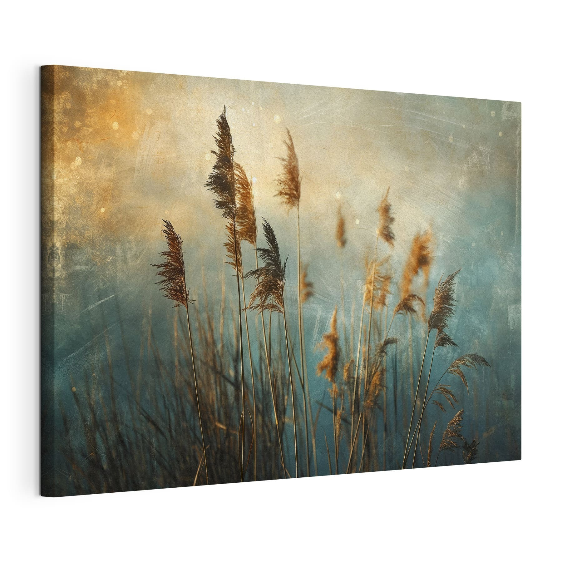 Close up of tall grass