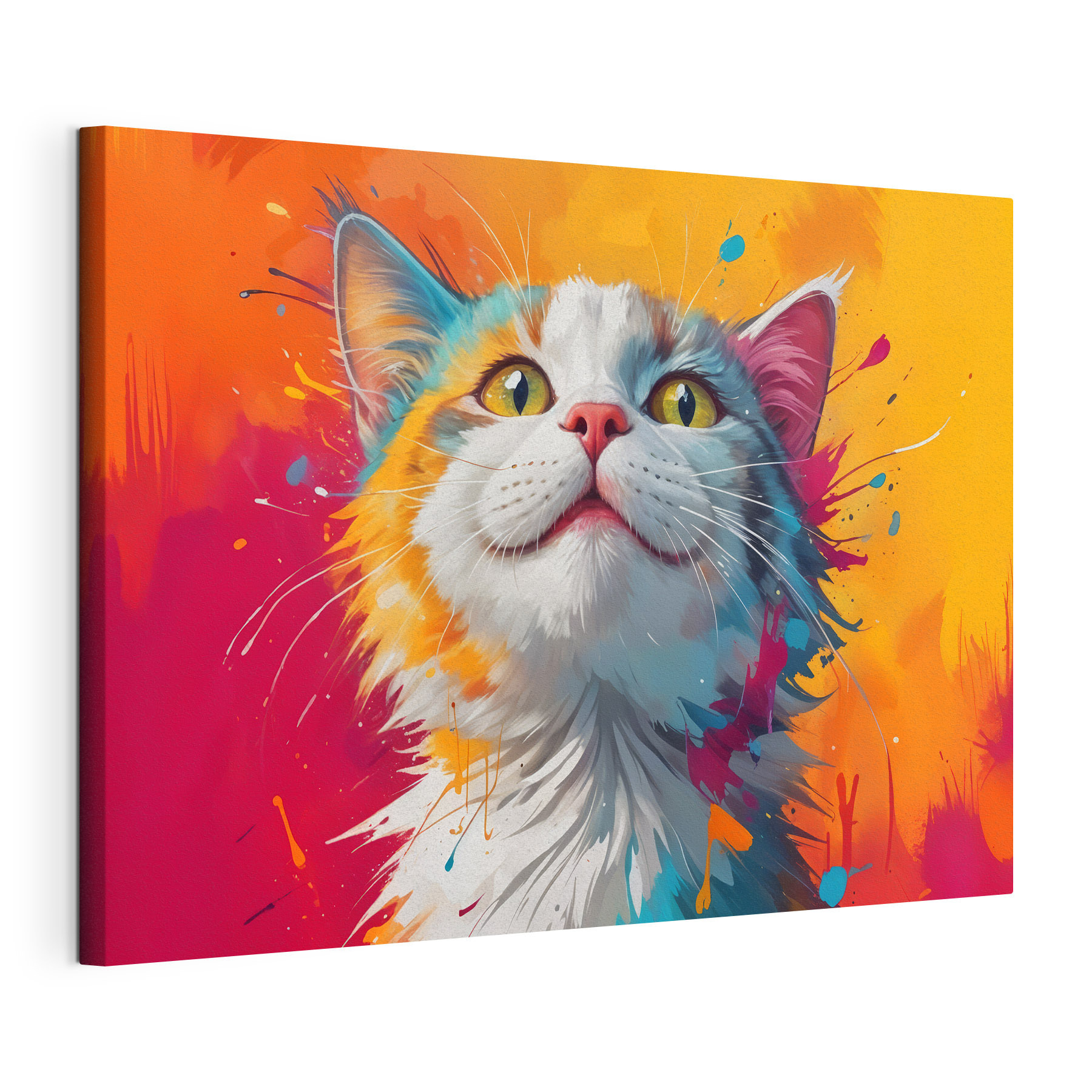 Cat with colorful paint splashes