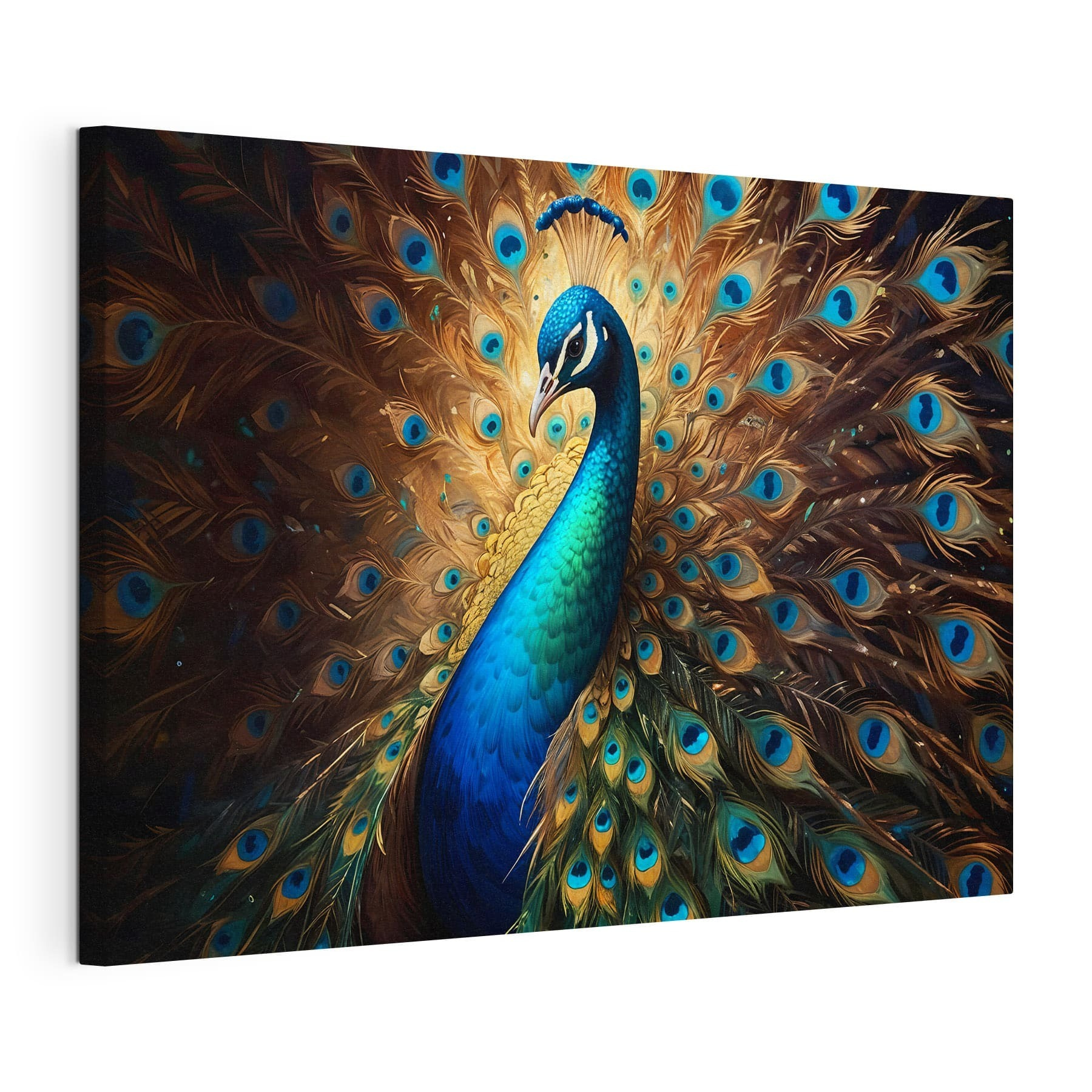 Peacock with its tail feathers spread out Peacock with its tail feathers spread out