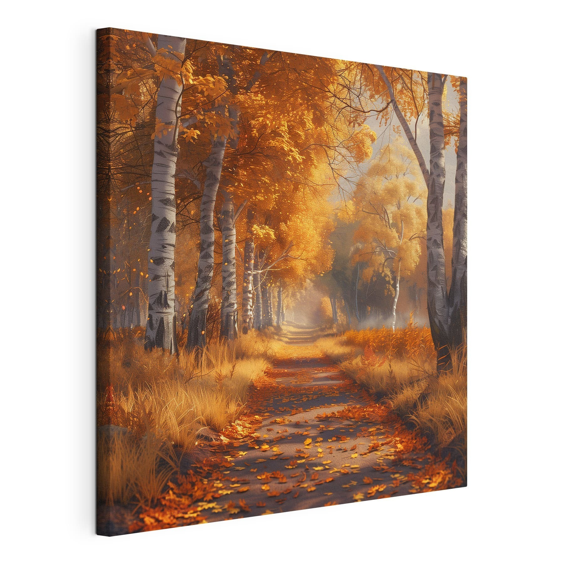 Path with orange leaves on it