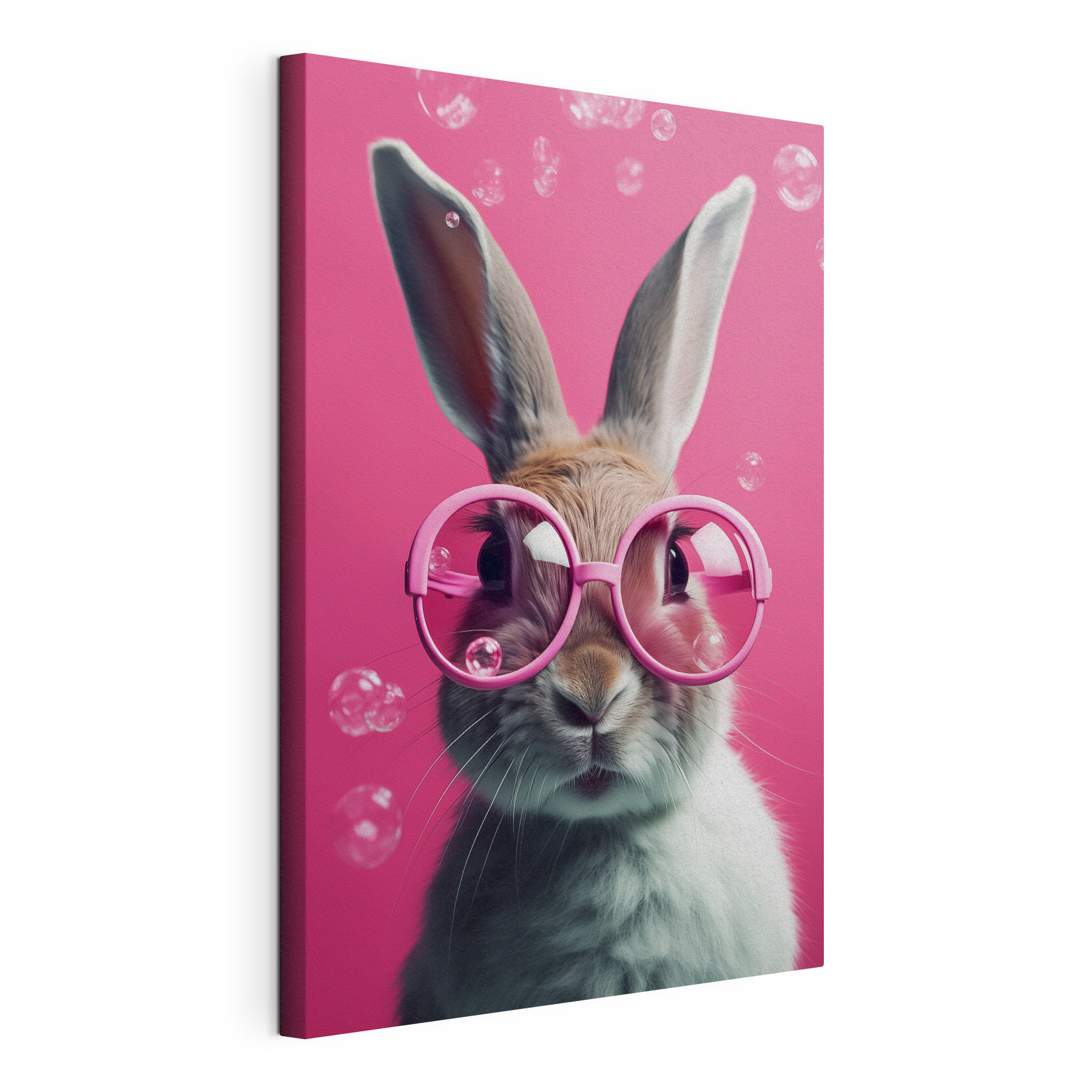 Rabbit wearing pink glasses Rabbit wearing pink glasses