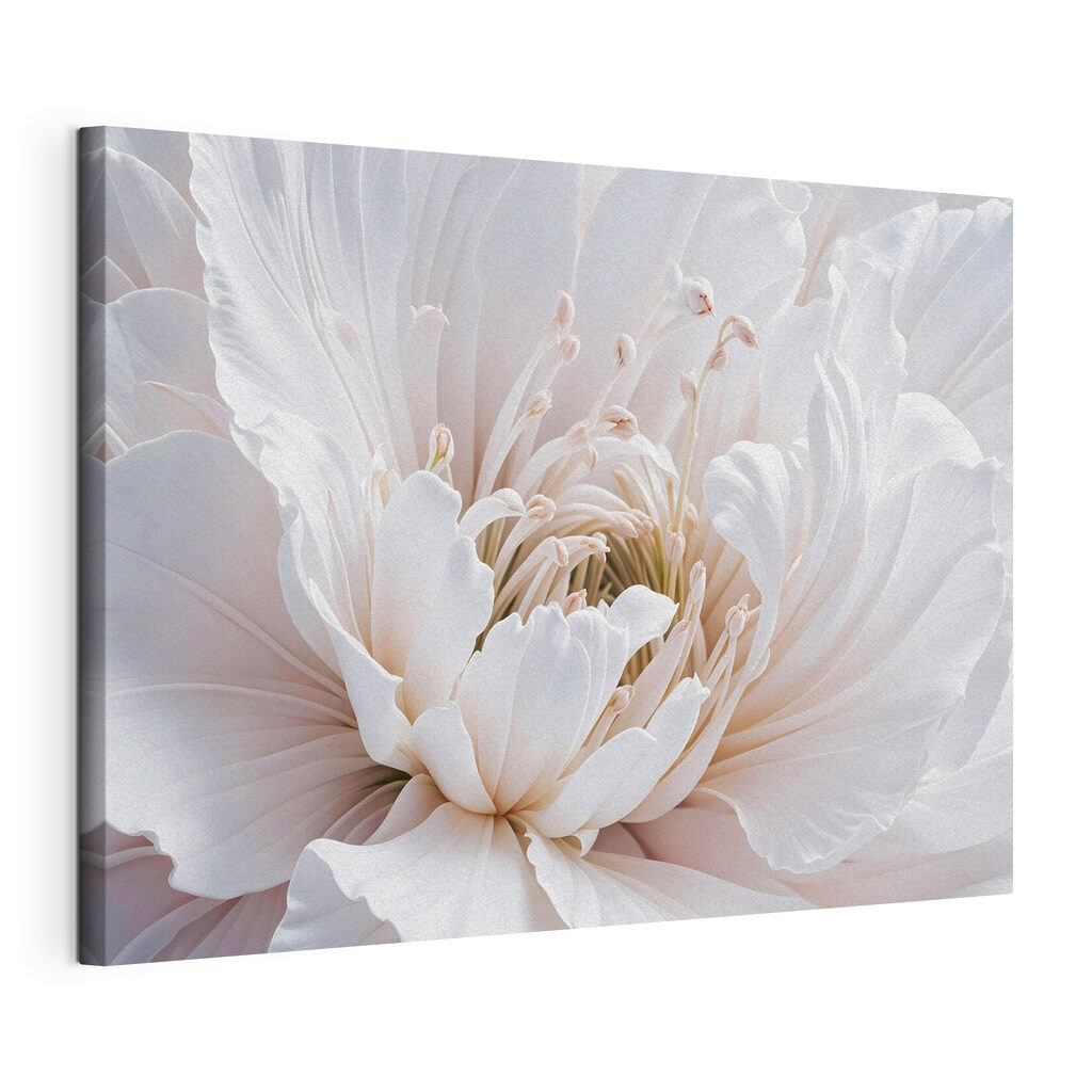 Delicate petals in soft hues Delicate petals in soft hues