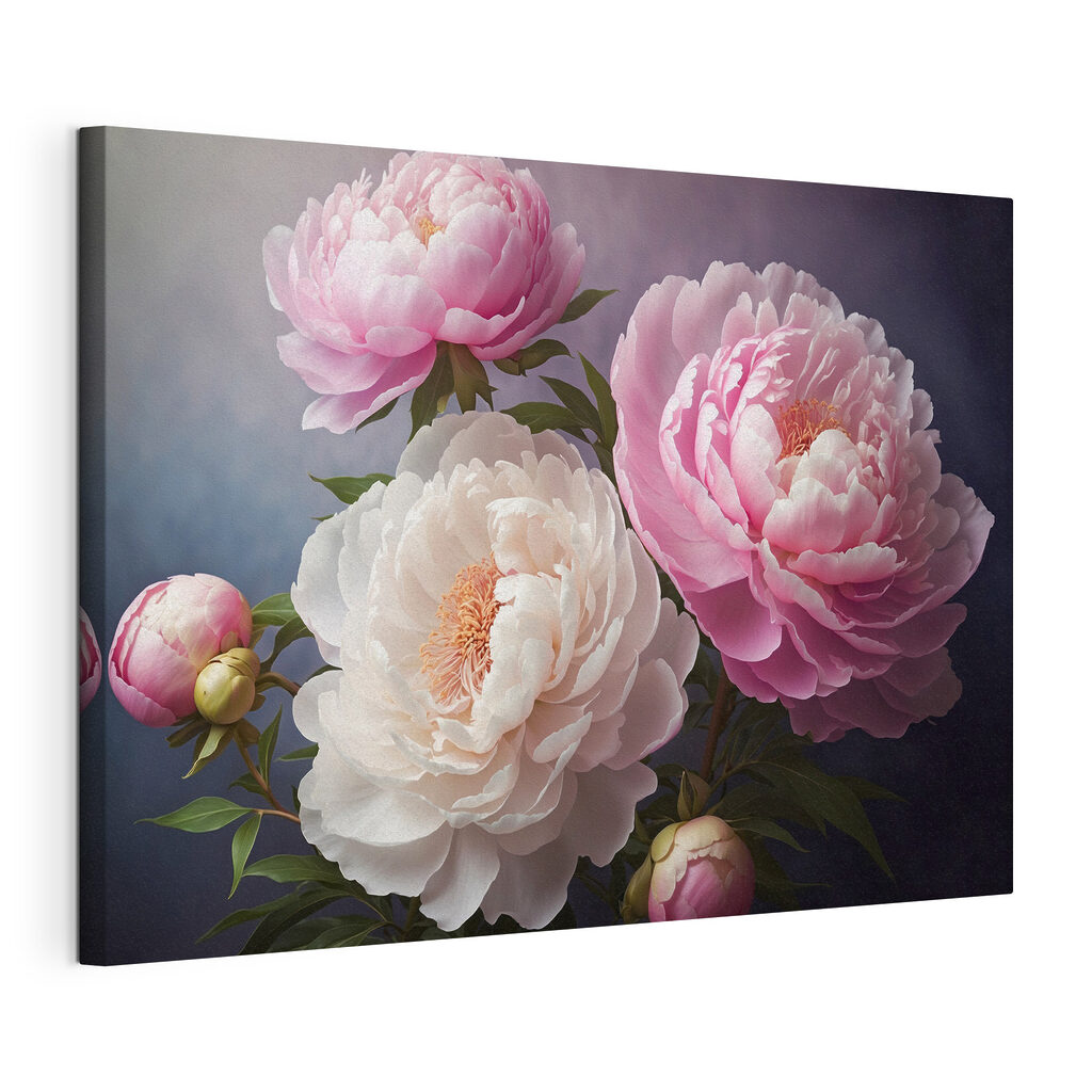 Group of pink and white flowers