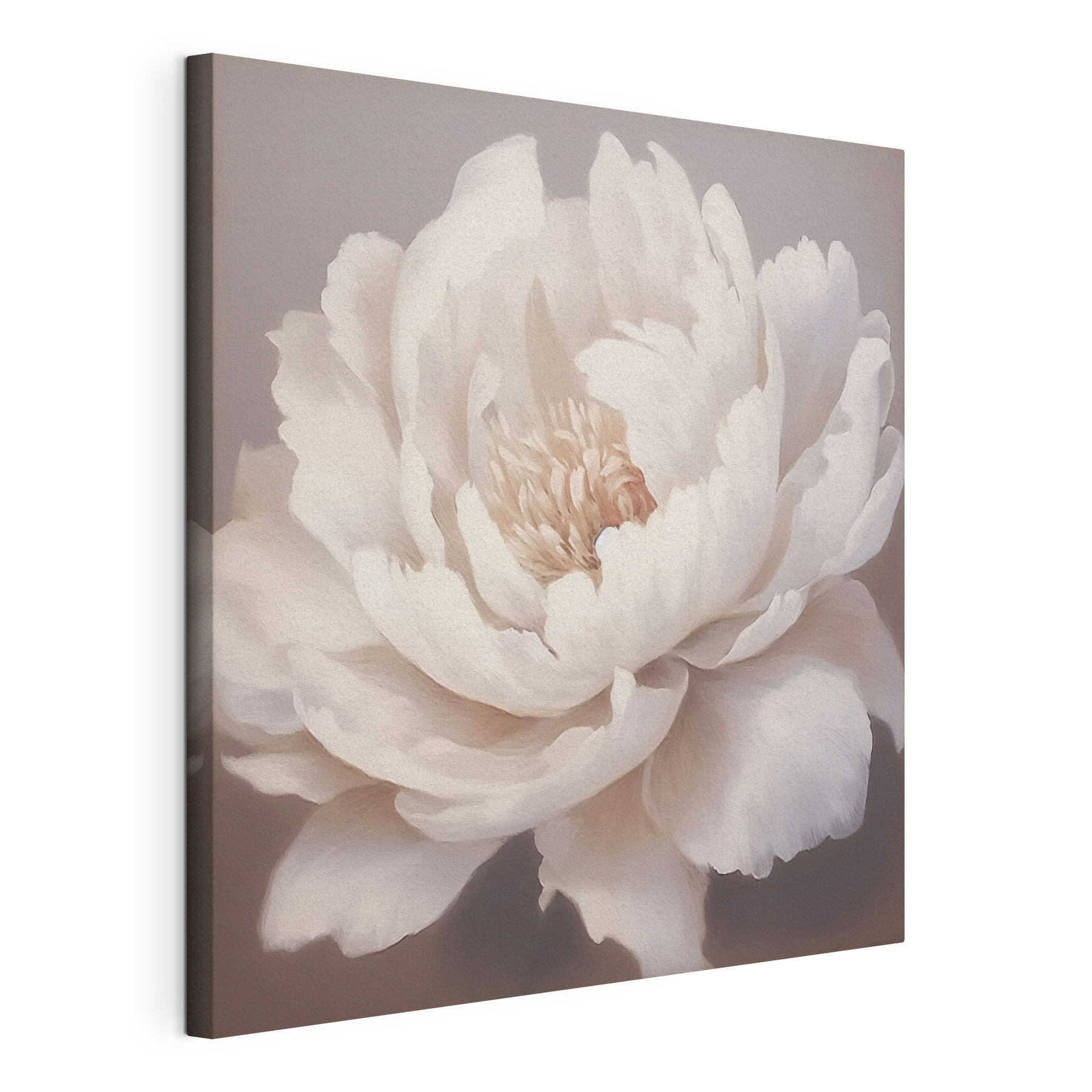 Delicate petals in soft hues