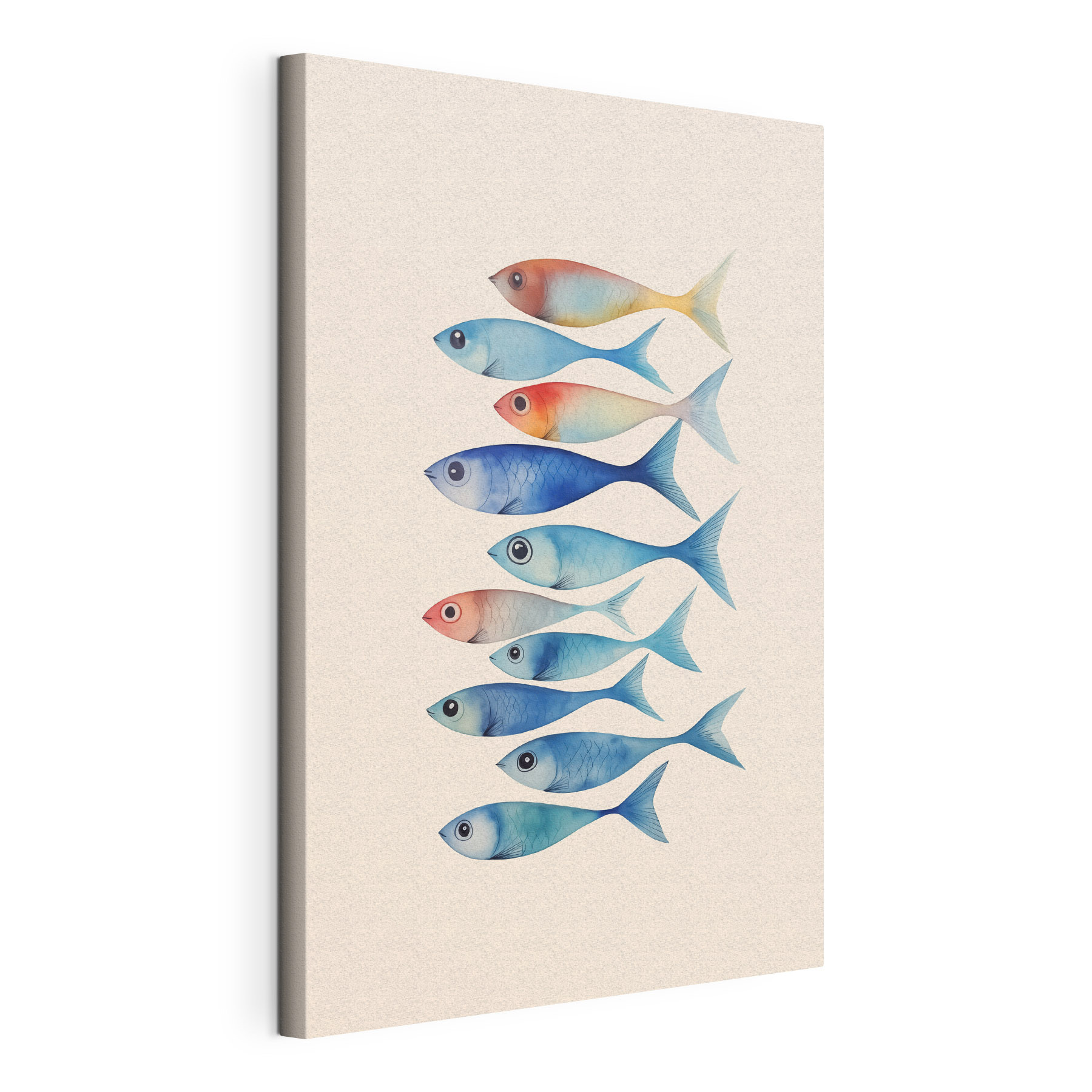 Group of fish with different colors