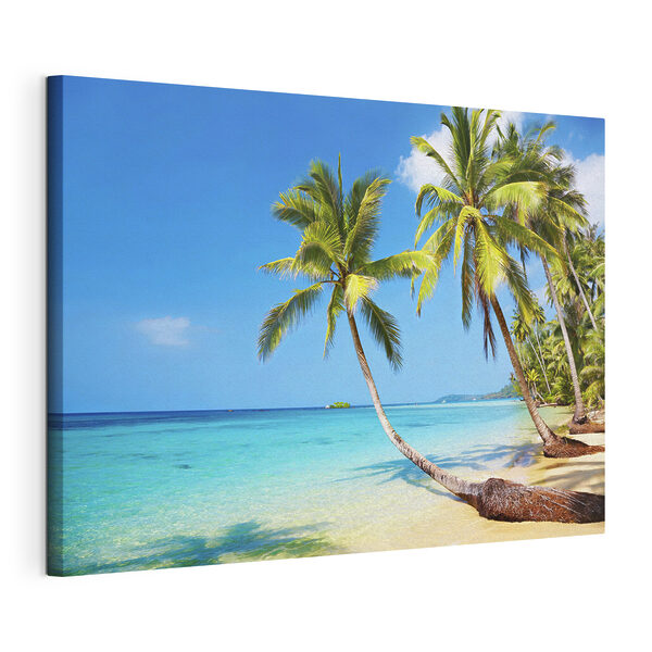 Palm trees on a beach Palm trees on a beach