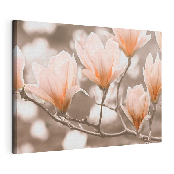 A group of flowers on a branch A group of flowers on a branch