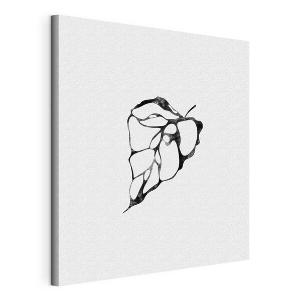 A black and white image of a leaf A black and white image of a leaf