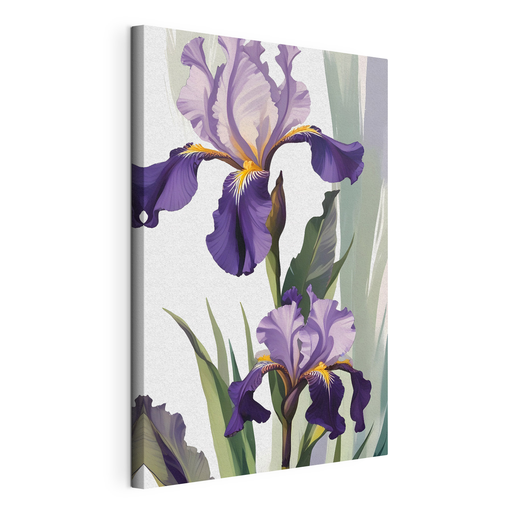 A purple and yellow irises