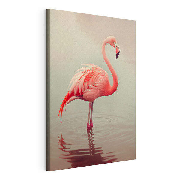 Flamingo standing in water Flamingo standing in water