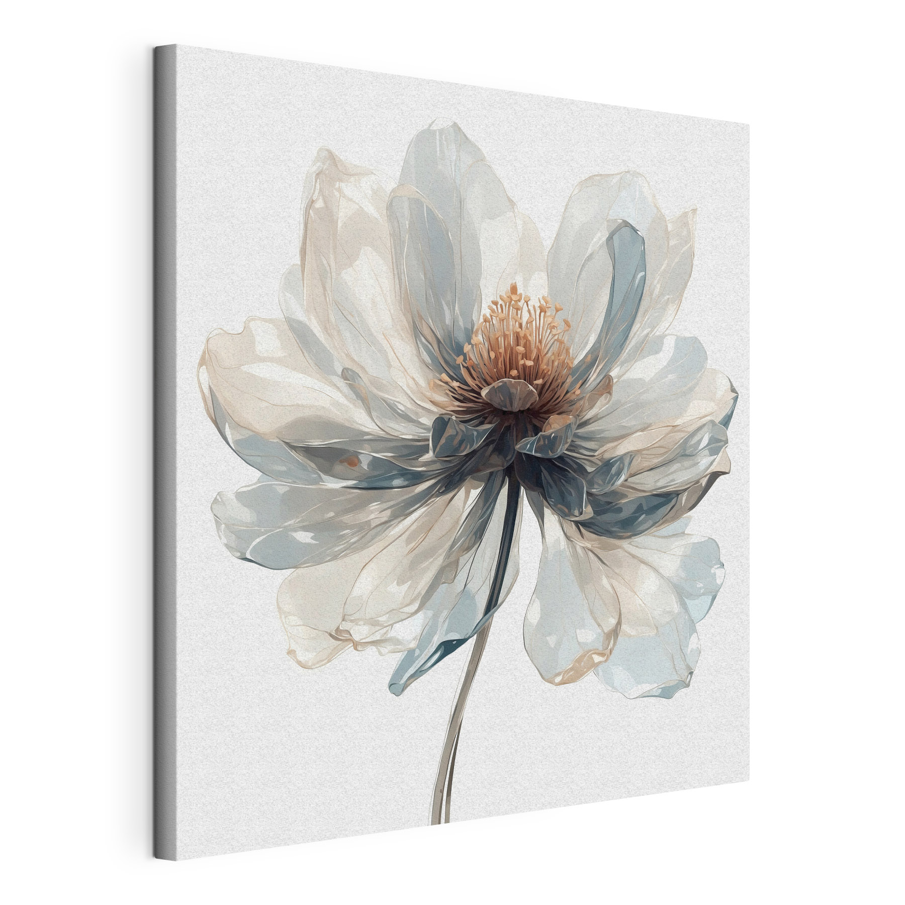Delicate flower in soft colors