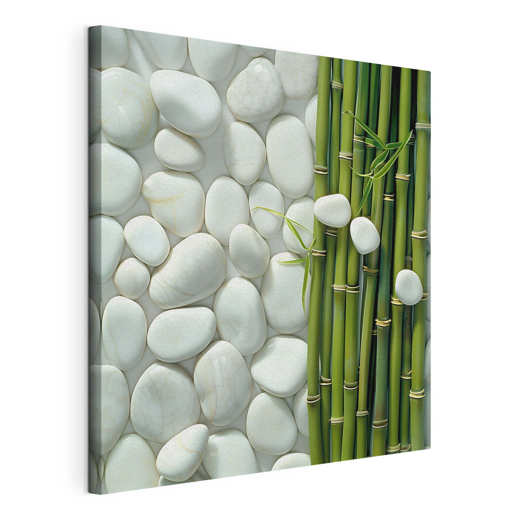 Group of green bamboo stems and white rocks Group of green bamboo stems and white rocks