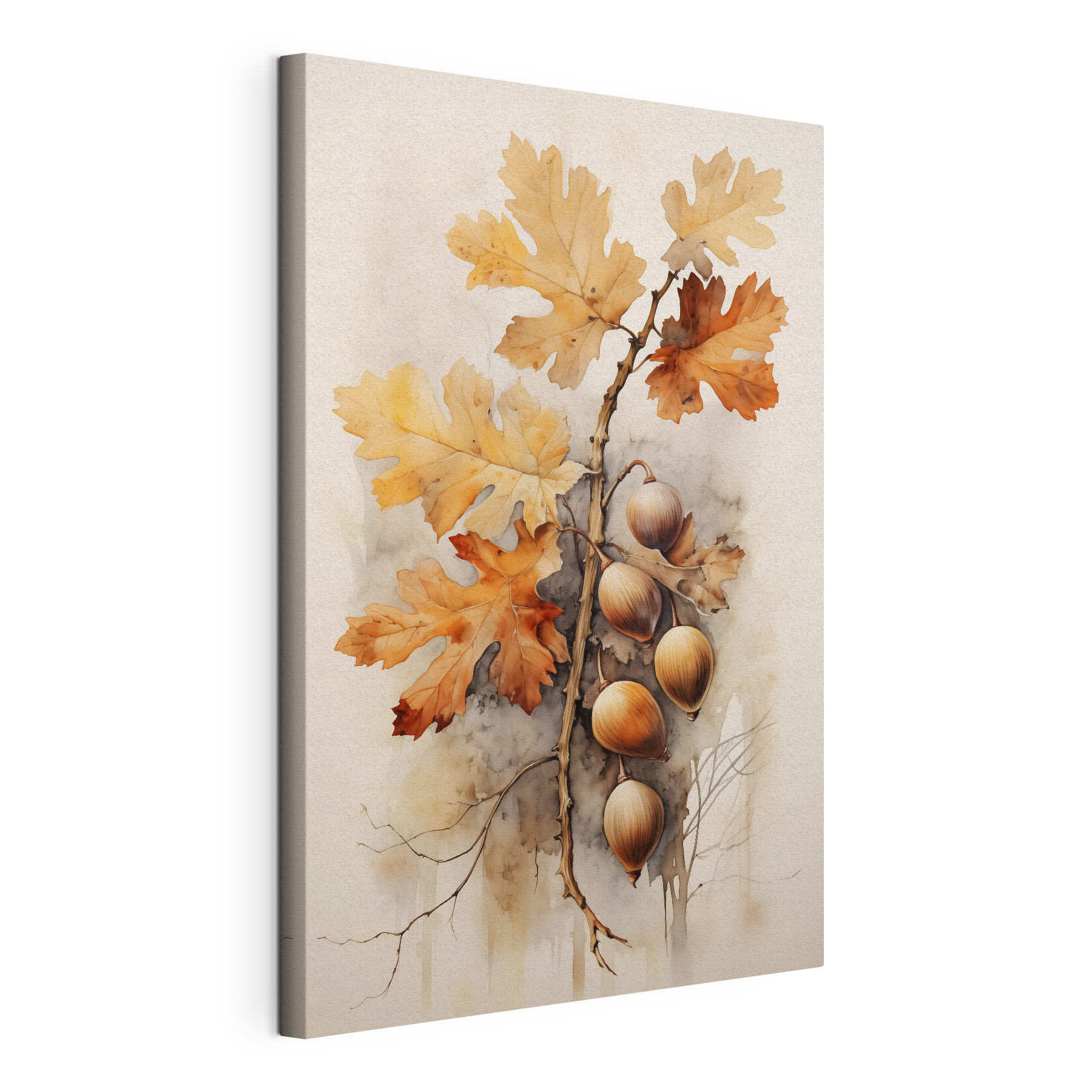 Acorns and leaves on a branch with a white background