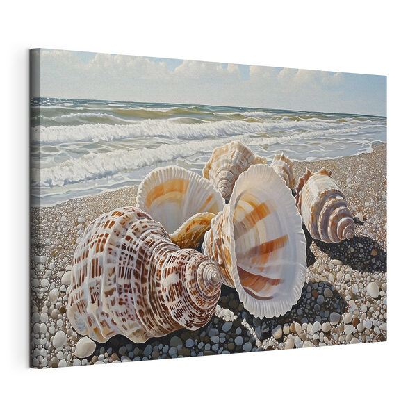 Seashells on a beach Seashells on a beach