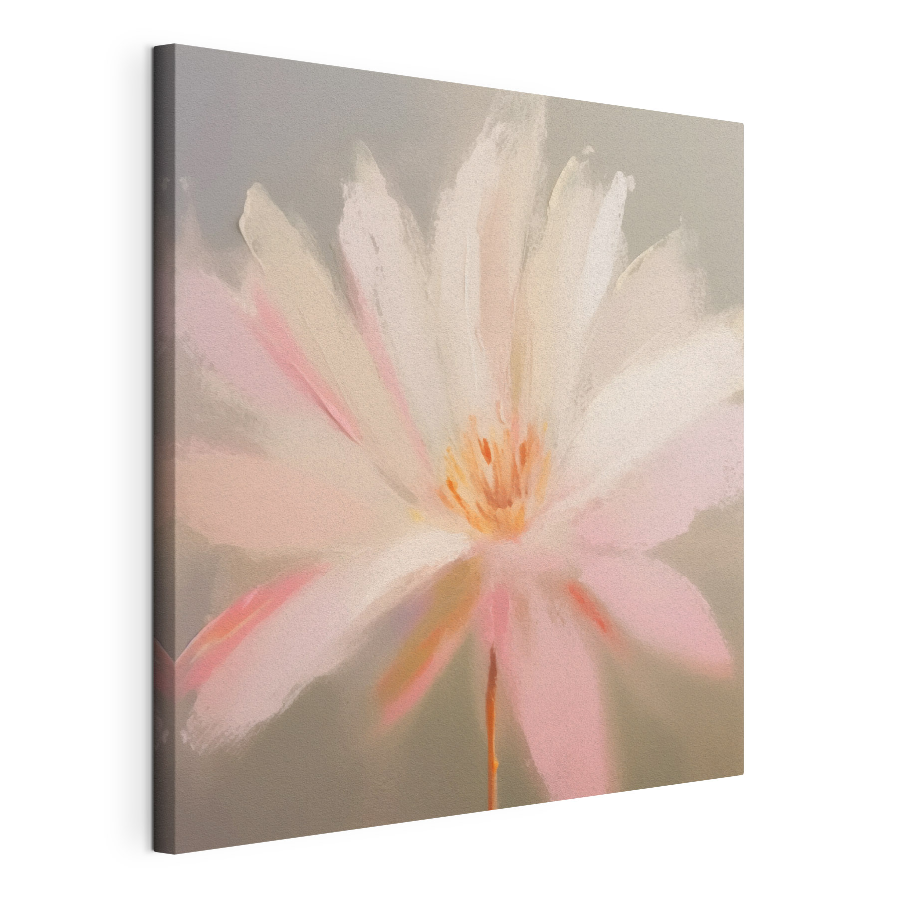 Delicate petals in soft hues Delicate petals in soft hues