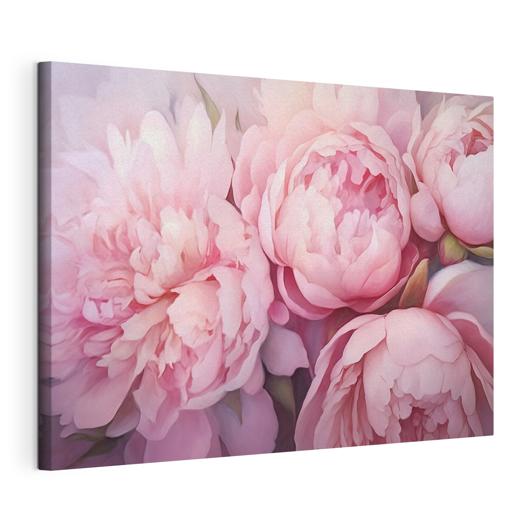 Soft petals in gentle hues