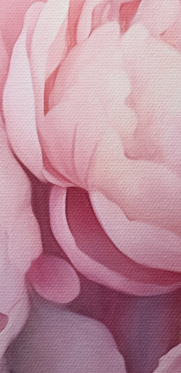 Soft petals in gentle hues