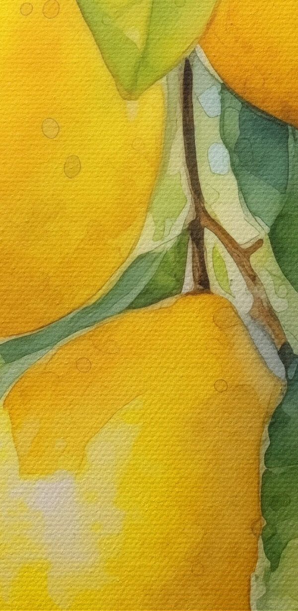 Watercolor of lemons on a tree