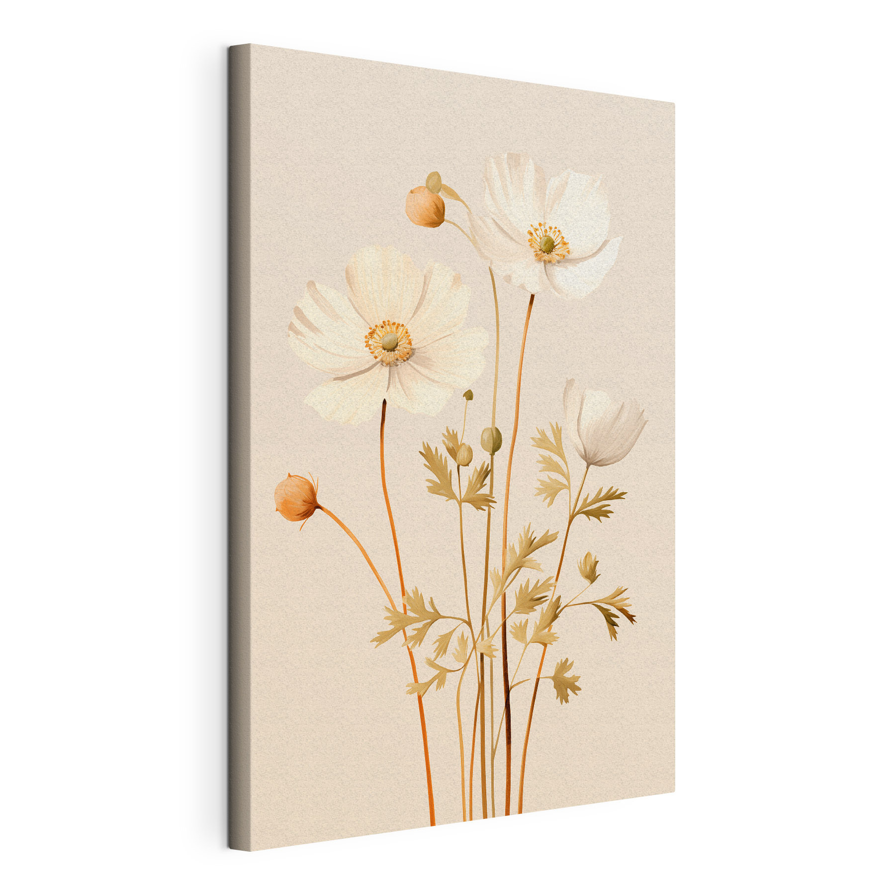 Delicate blooms in soft colors Delicate blooms in soft colors