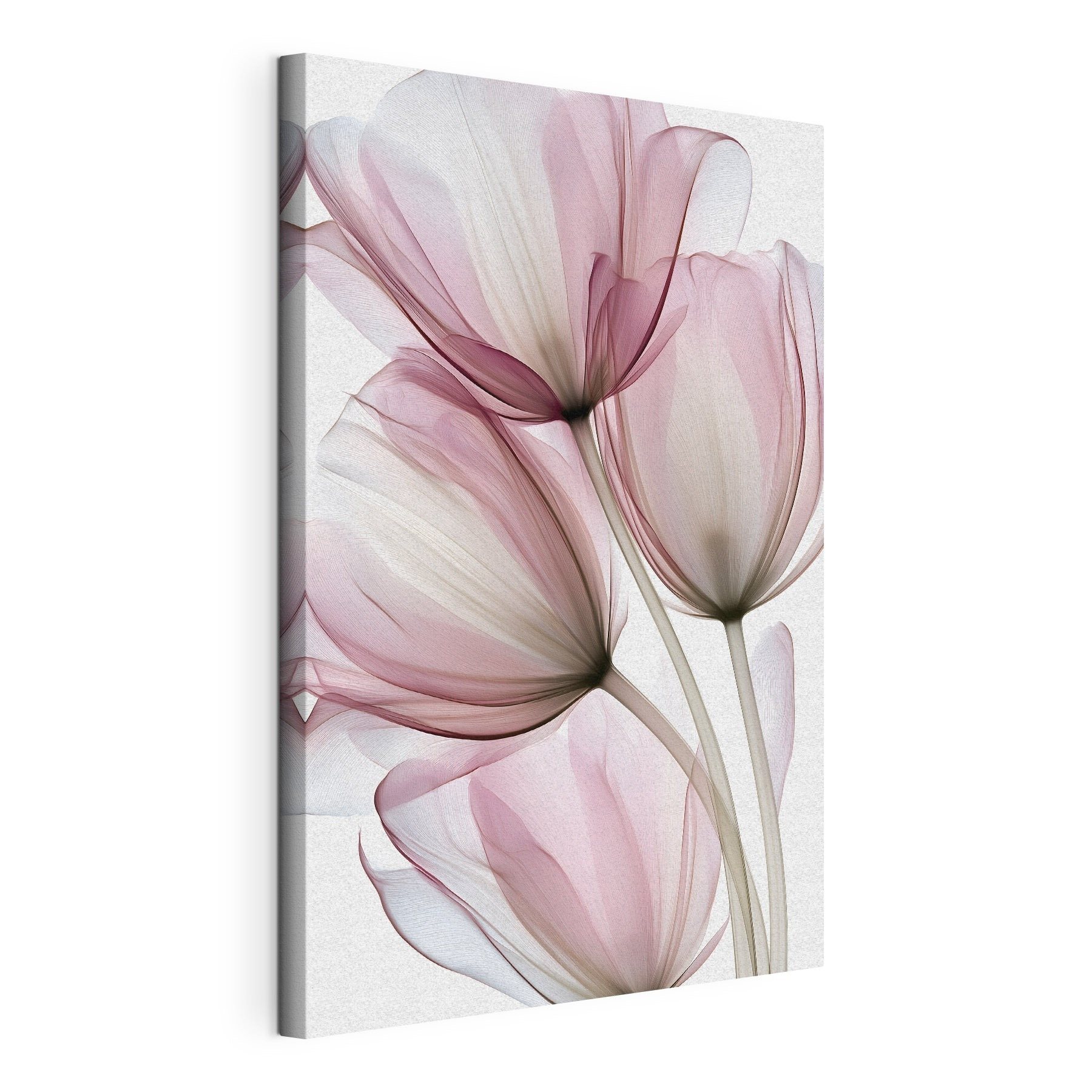 Translucent petals in soft pastels