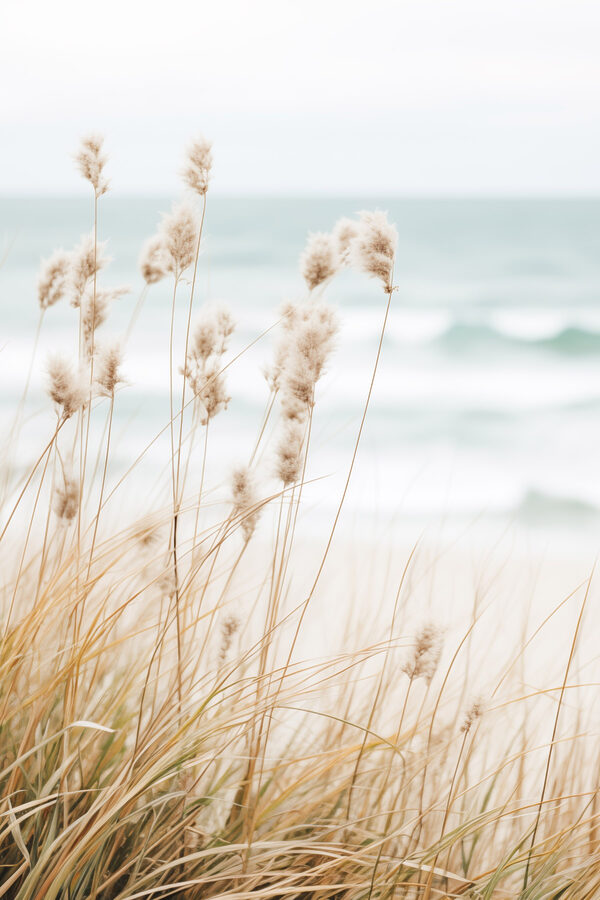 Soft grasses sway by gentle waves