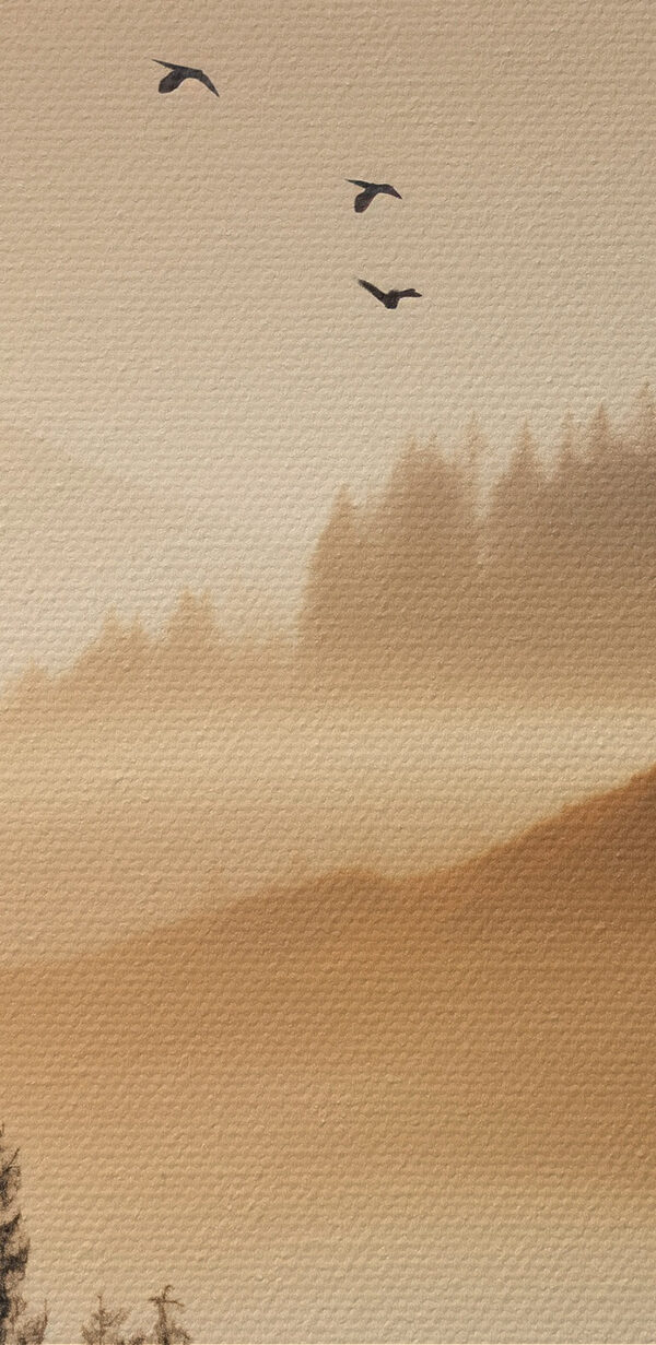 Birds flying over a valley with mountains and trees