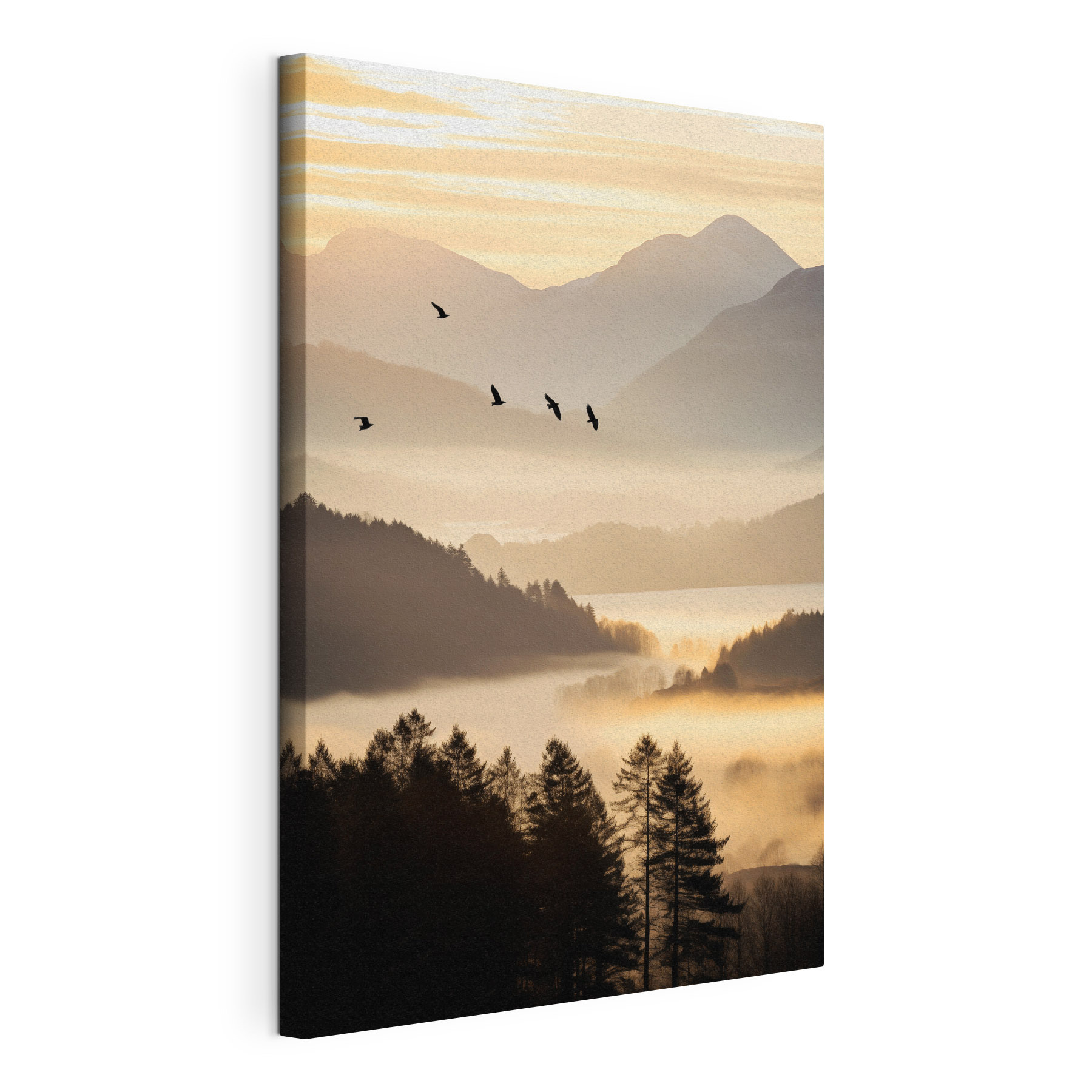 Birds flying over a valley with mountains and fog