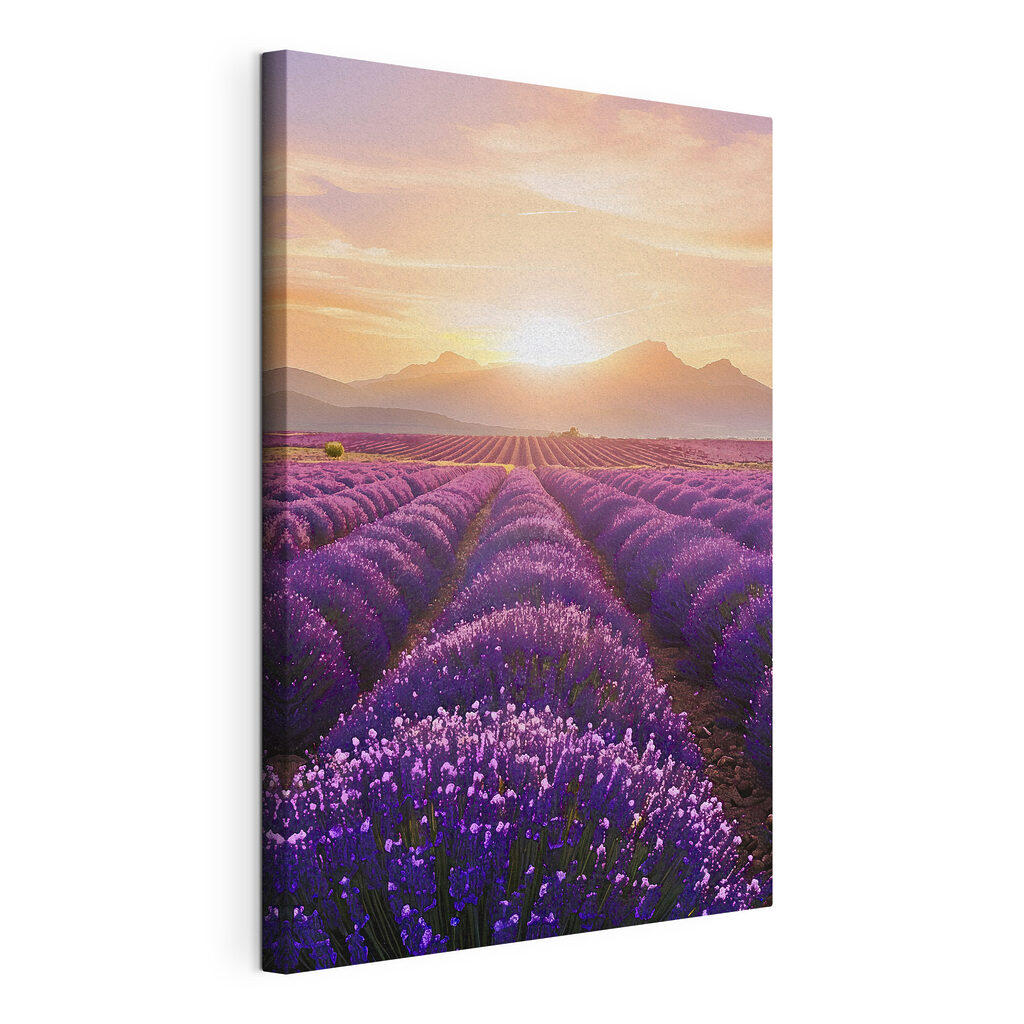 Field of lavender with mountains in the background Field of lavender with mountains in the background