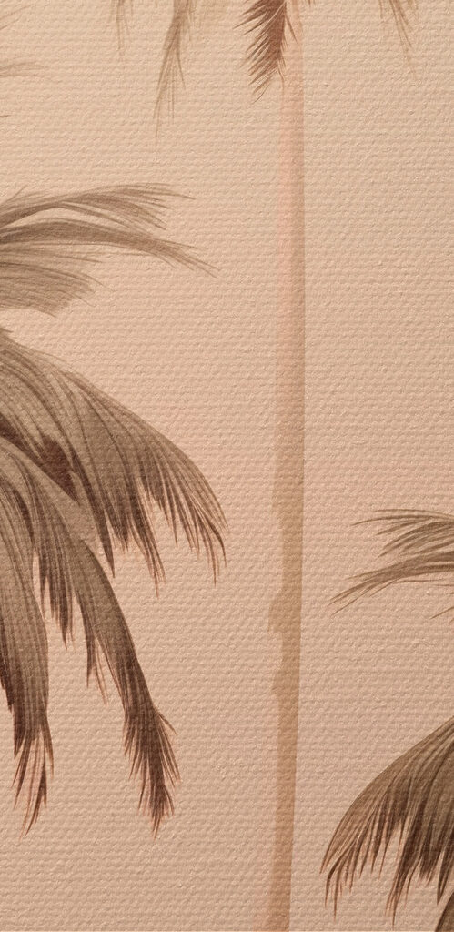 Group of palm trees