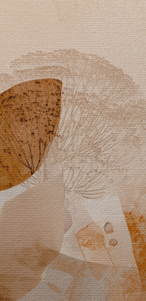 Soft hues of nature's beauty