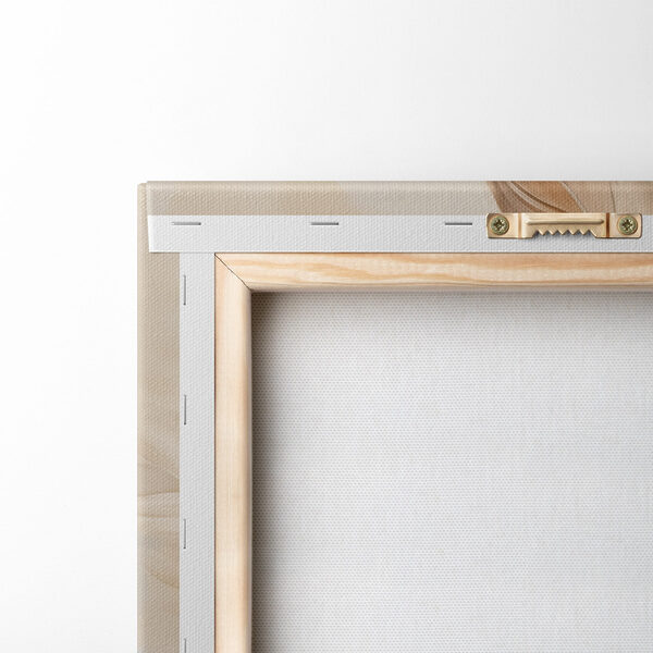 Group of feathers in different colors Group of feathers in different colors