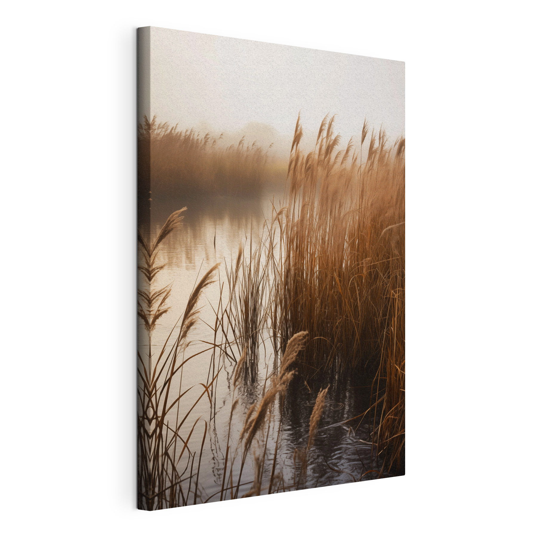 Reeds in the water