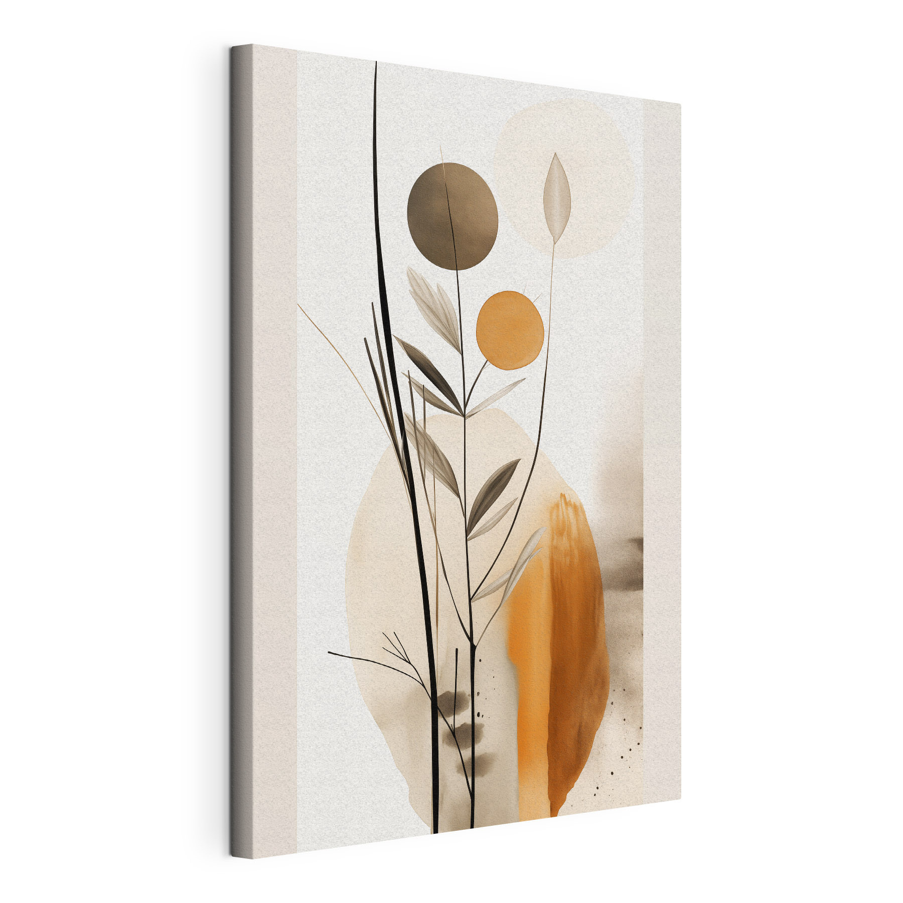 Plant with circles and leaves Plant with circles and leaves